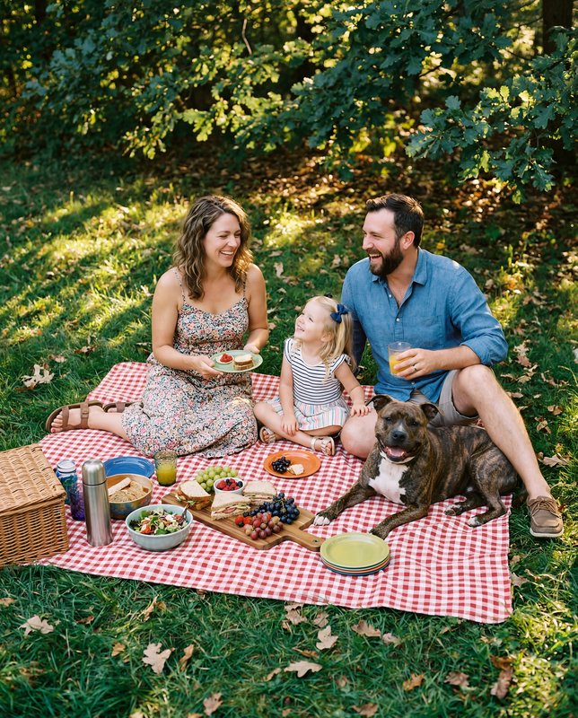 Family enjoys picnic in park on sunny day with dog Premium Stock Photo - stock photo