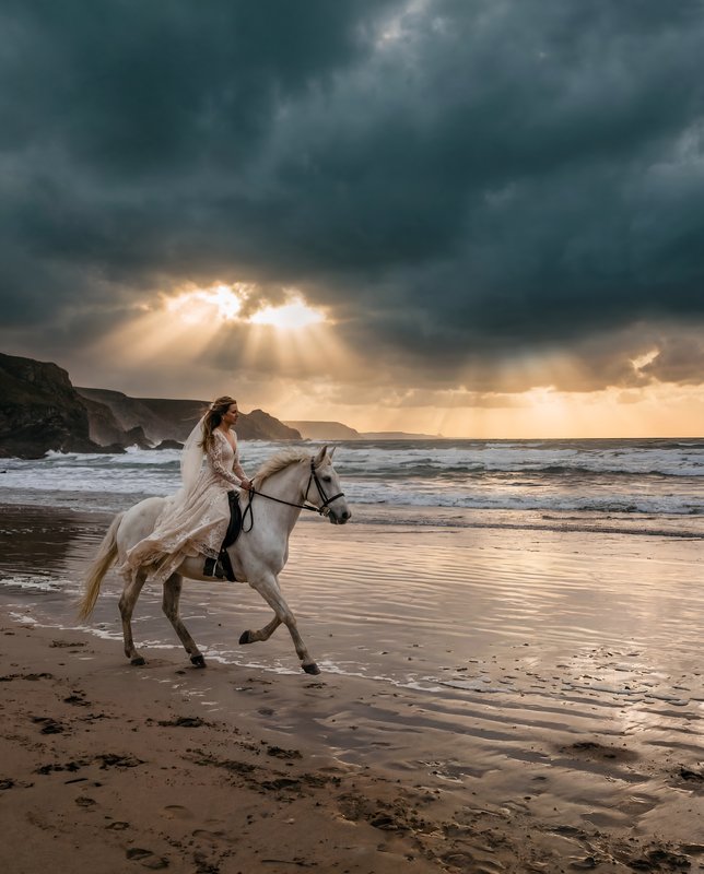 Woman rides white horse on beach at sunset near water Premium Stock Image - stock photo