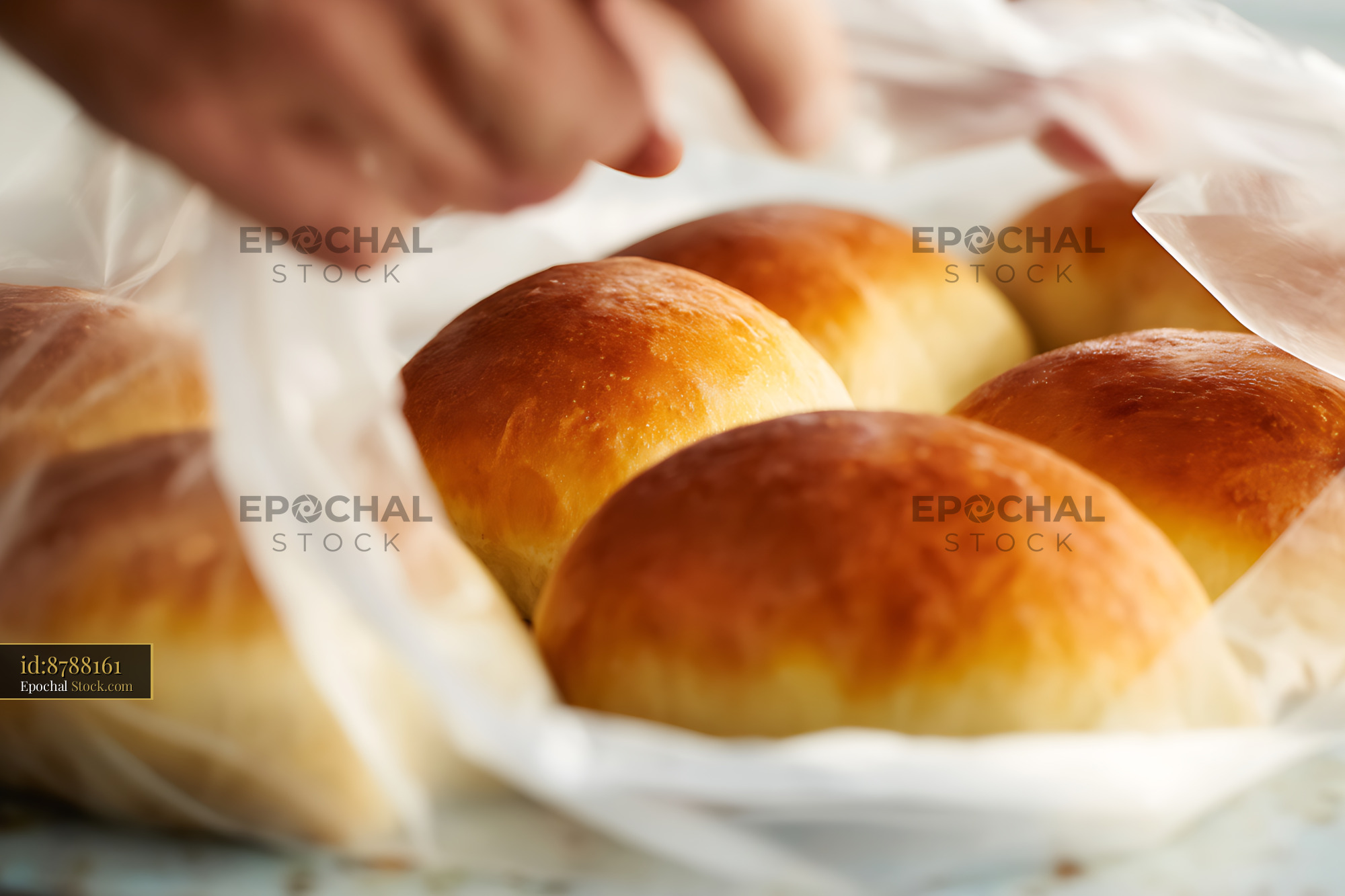 Freshly Baked Bierocks Golden Rolls Rustic Bread Setting - stock photo