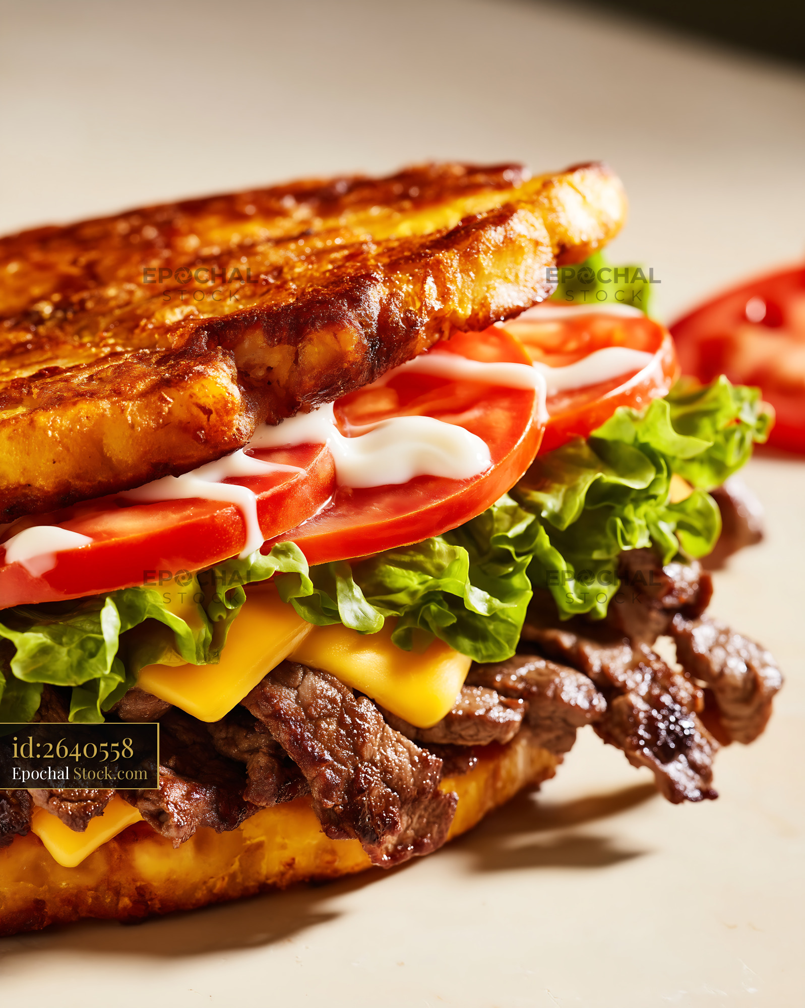 Jibarito Burger with Steak, Melted Cheese and Fresh Toppings - stock photo