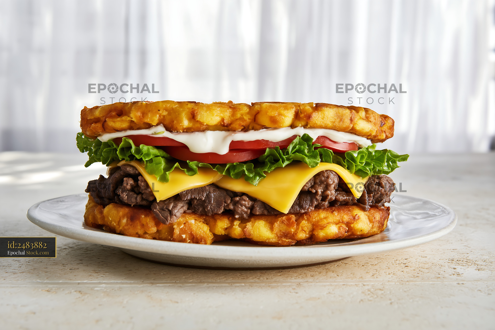 Jibarito Burger with Melted Cheese and Tomato - stock photo