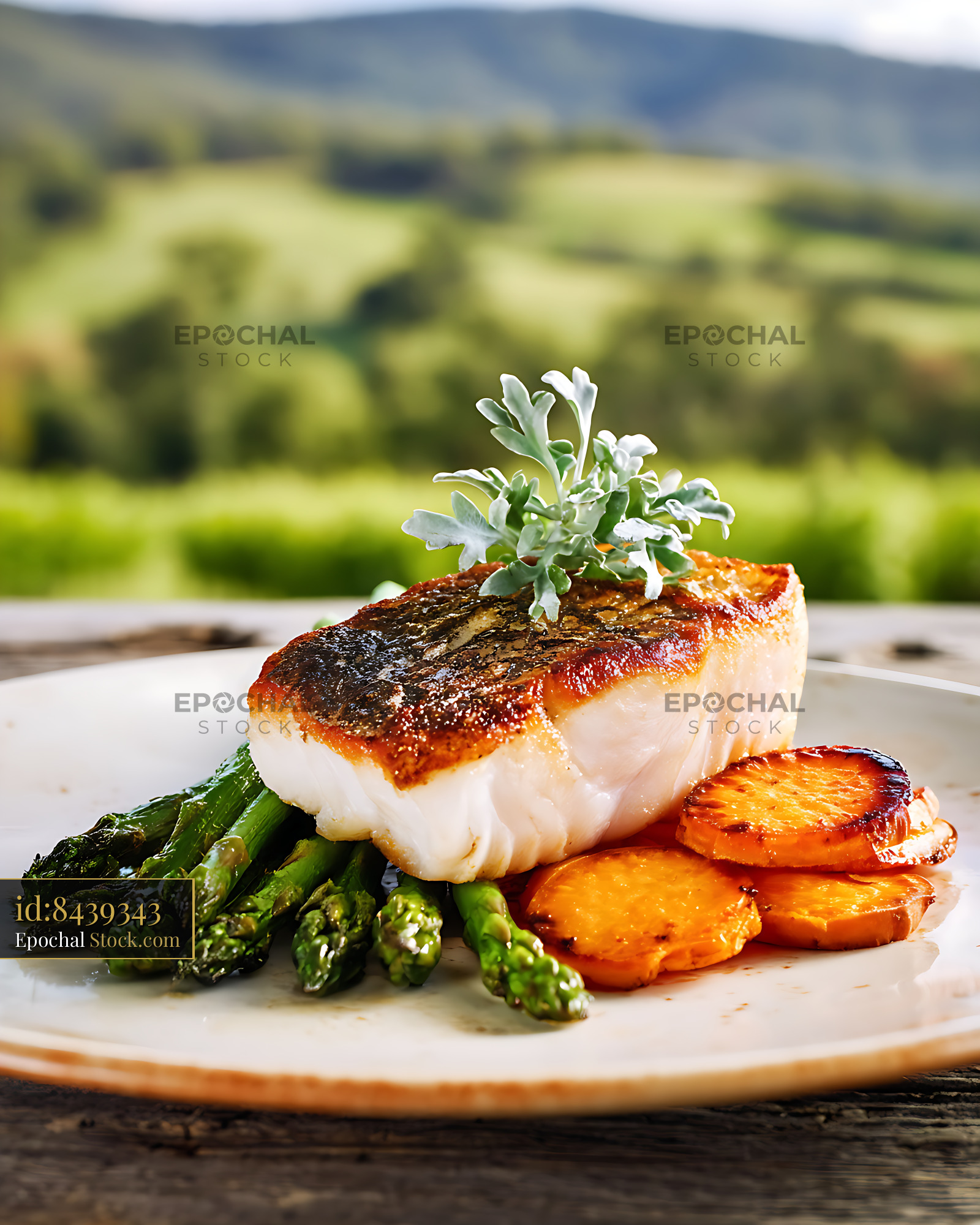 Seared Murray Cod Fillet with Asparagus - stock photo