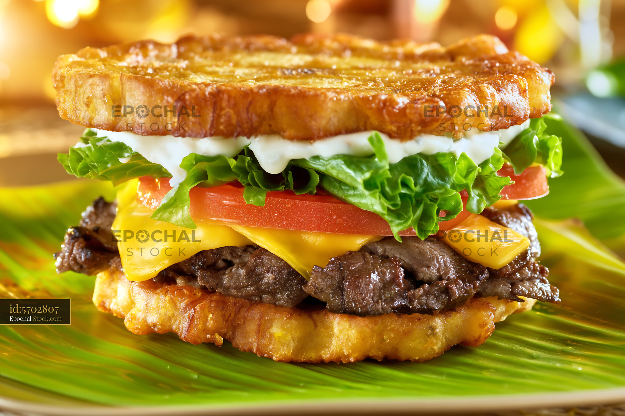 Gourmet Steak Sandwich with Melted Cheese - stock photo