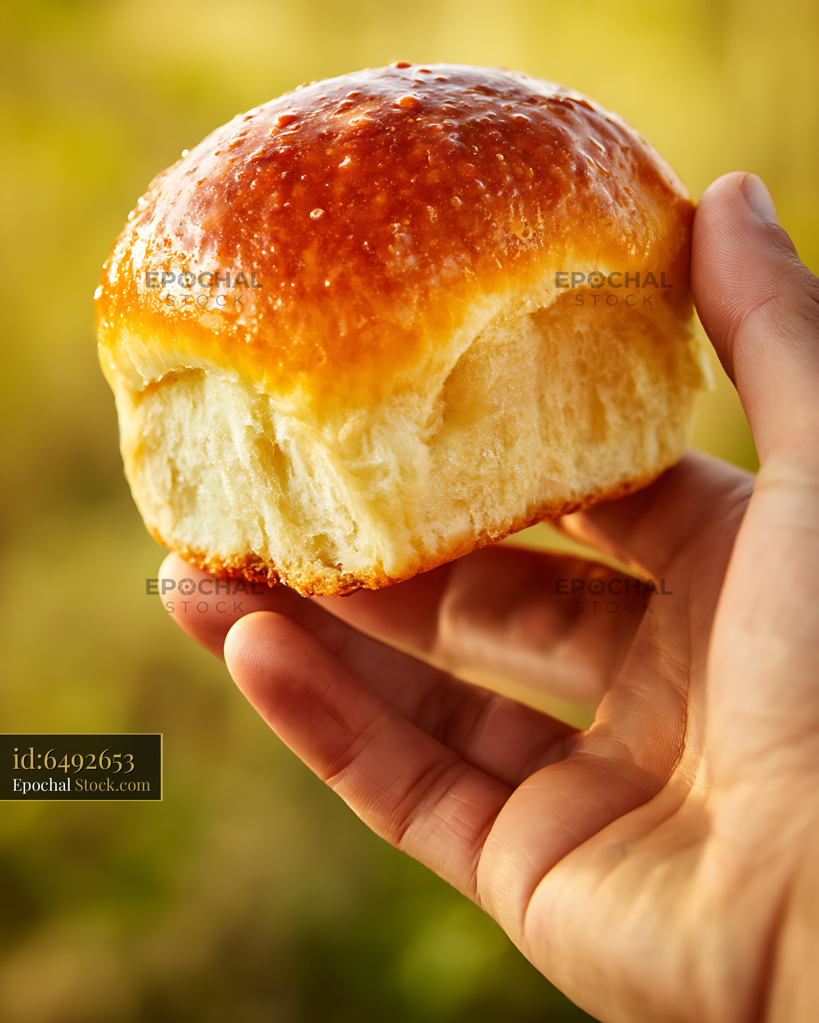 Fresh Golden Brioche Bun Held in Hand Outdoors - stock photo