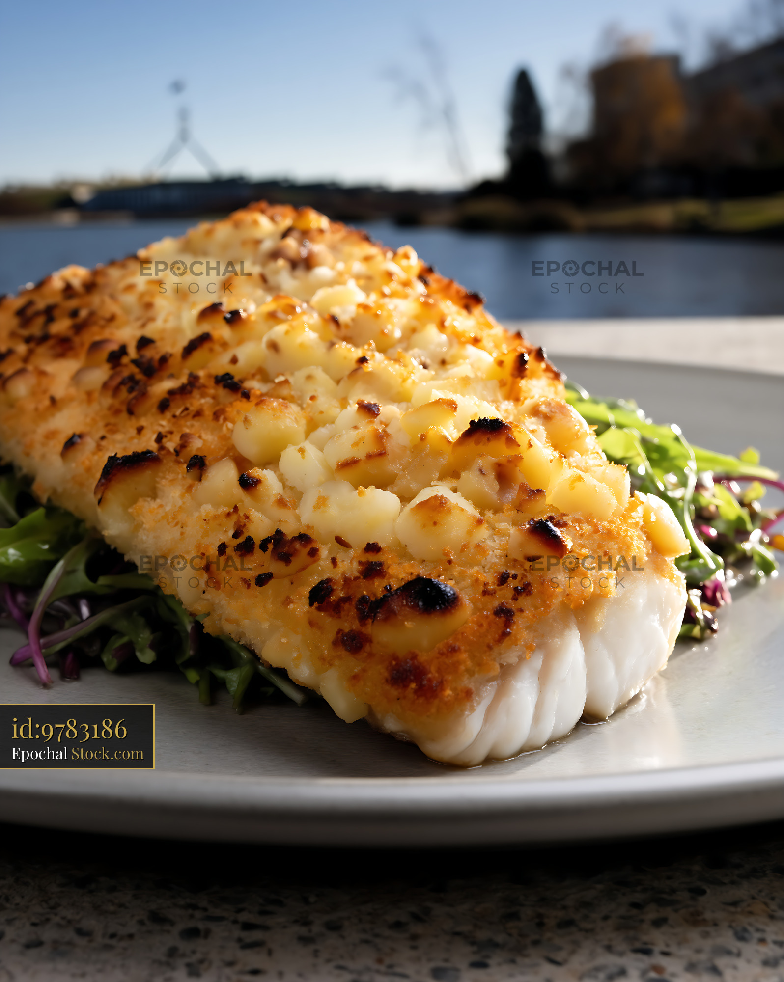 Macadamia Crusted Fish Fillet with Salad - stock photo