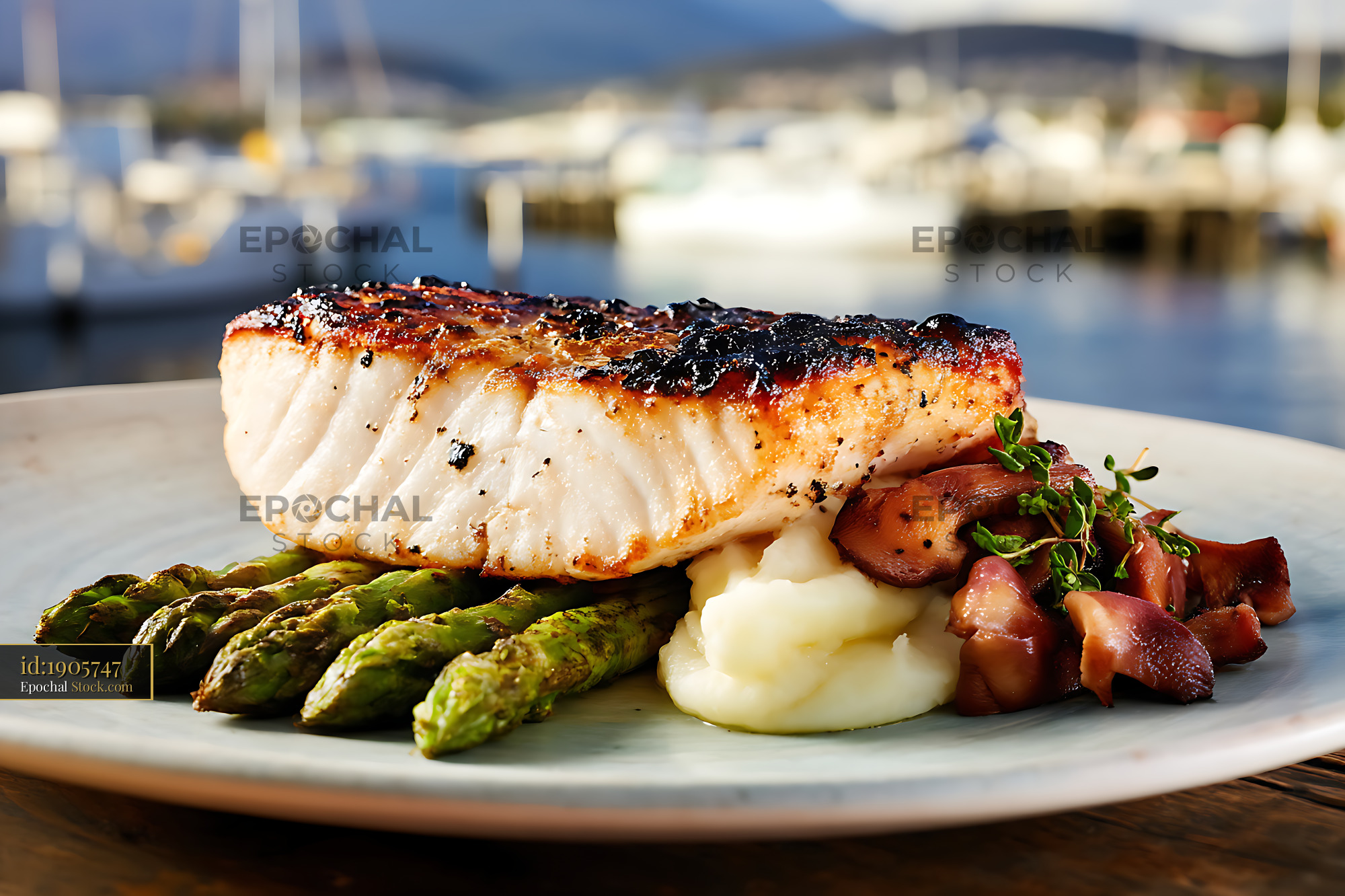 Pan-Seared Murray Cod Fillet Waterfront - stock photo