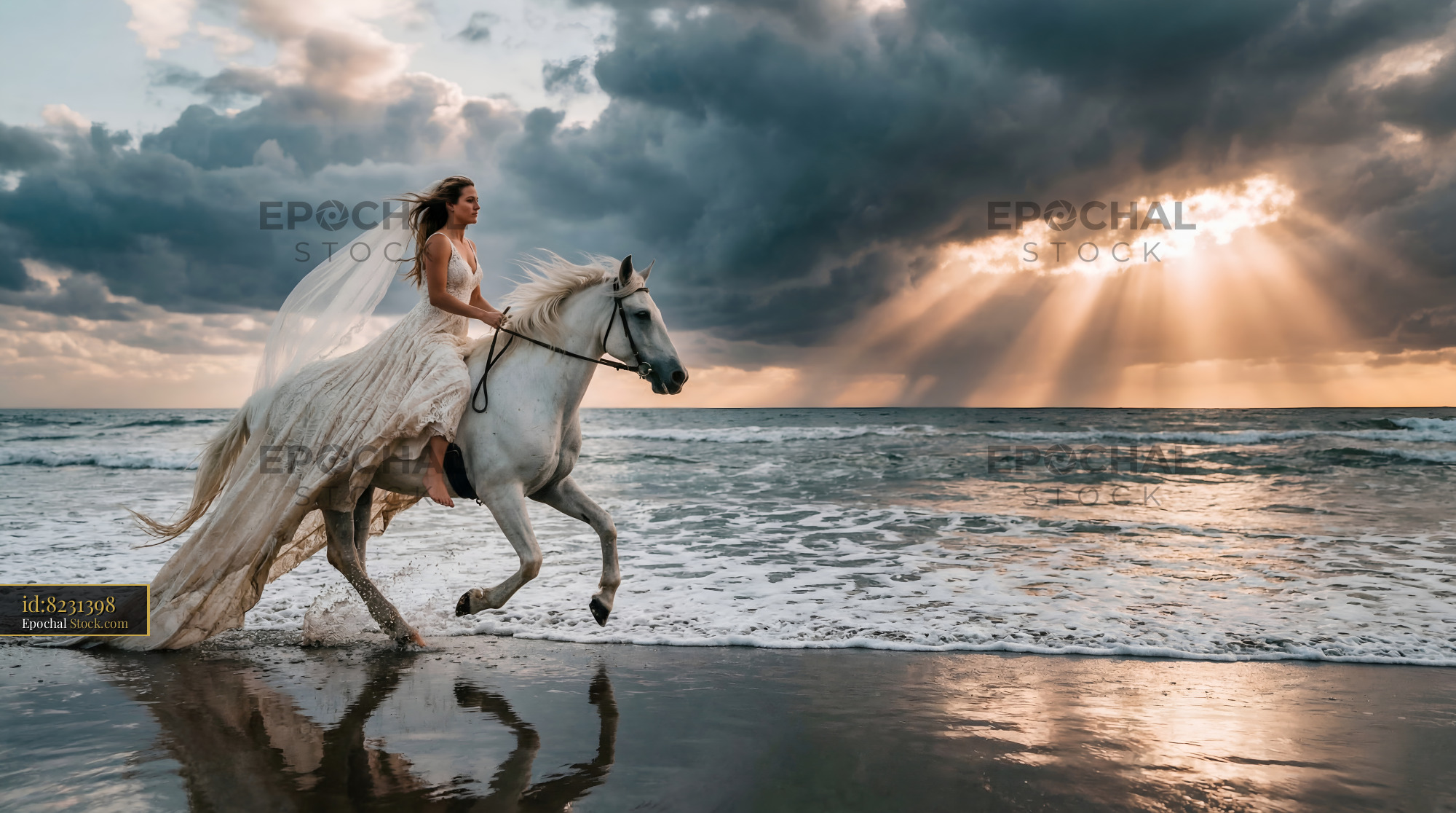Bride rides a horse along the shore at sunset Premium Stock Image
