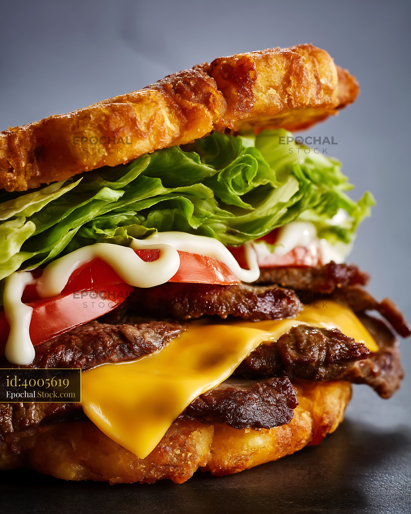 Jibarito Burger with Fried Plantain Bread, Melted Cheese, and Fresh Toppings - stock photo