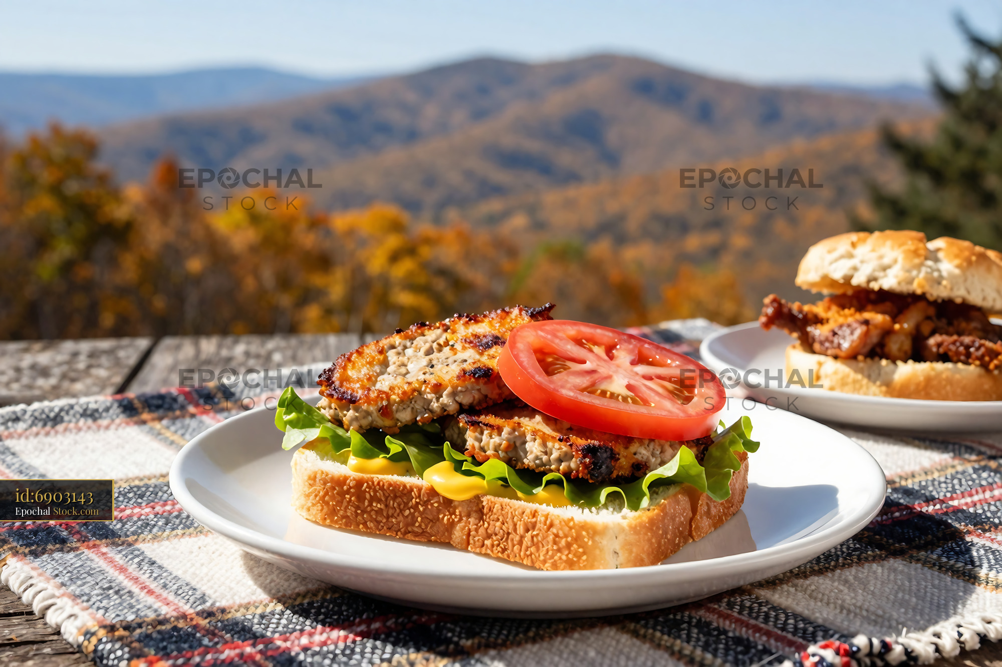 Livermush Sandwich Mountain Scenic Picnic - stock photo