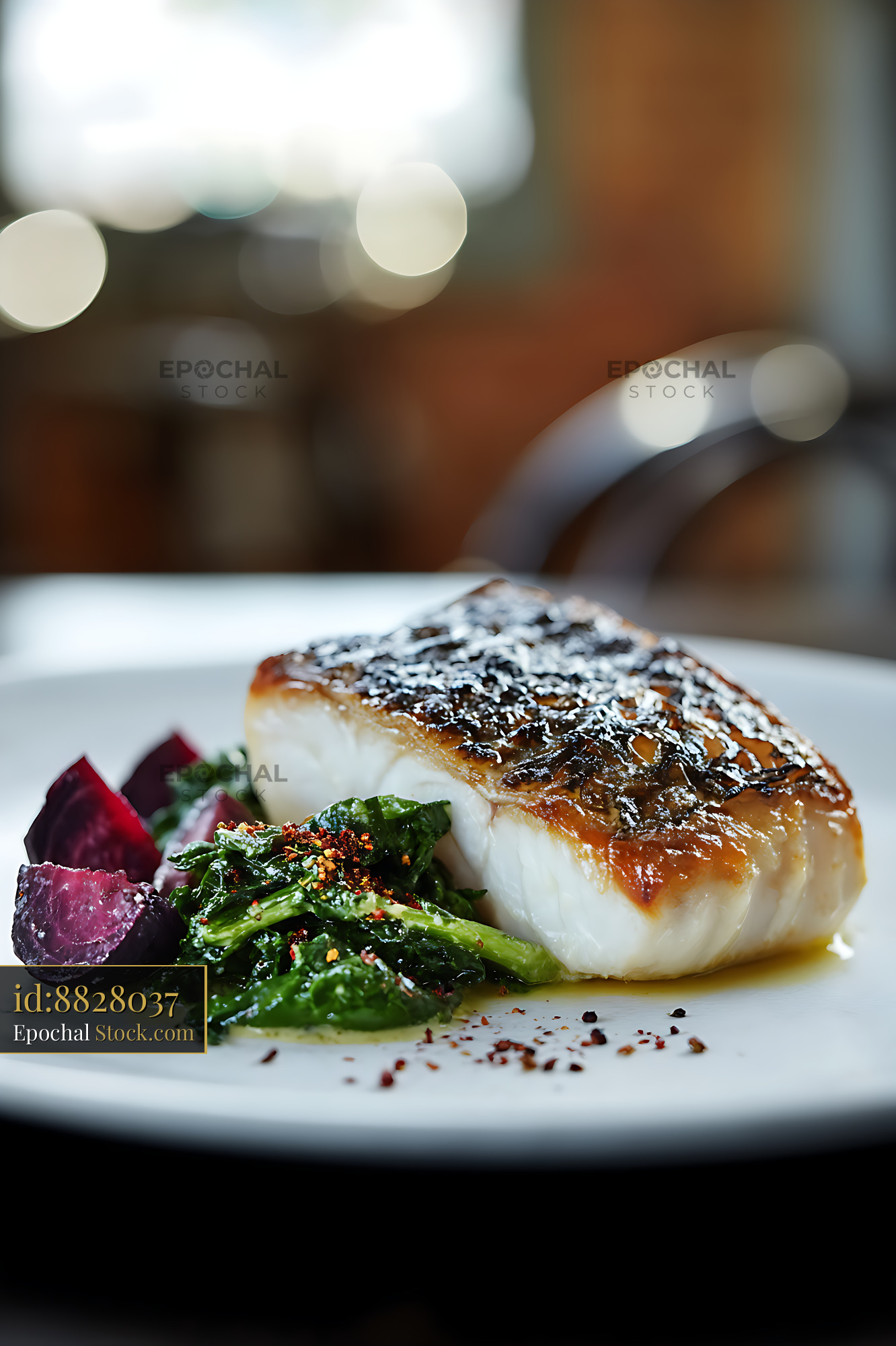Murray Cod Fillet Seared Fine Dining Plate - stock photo