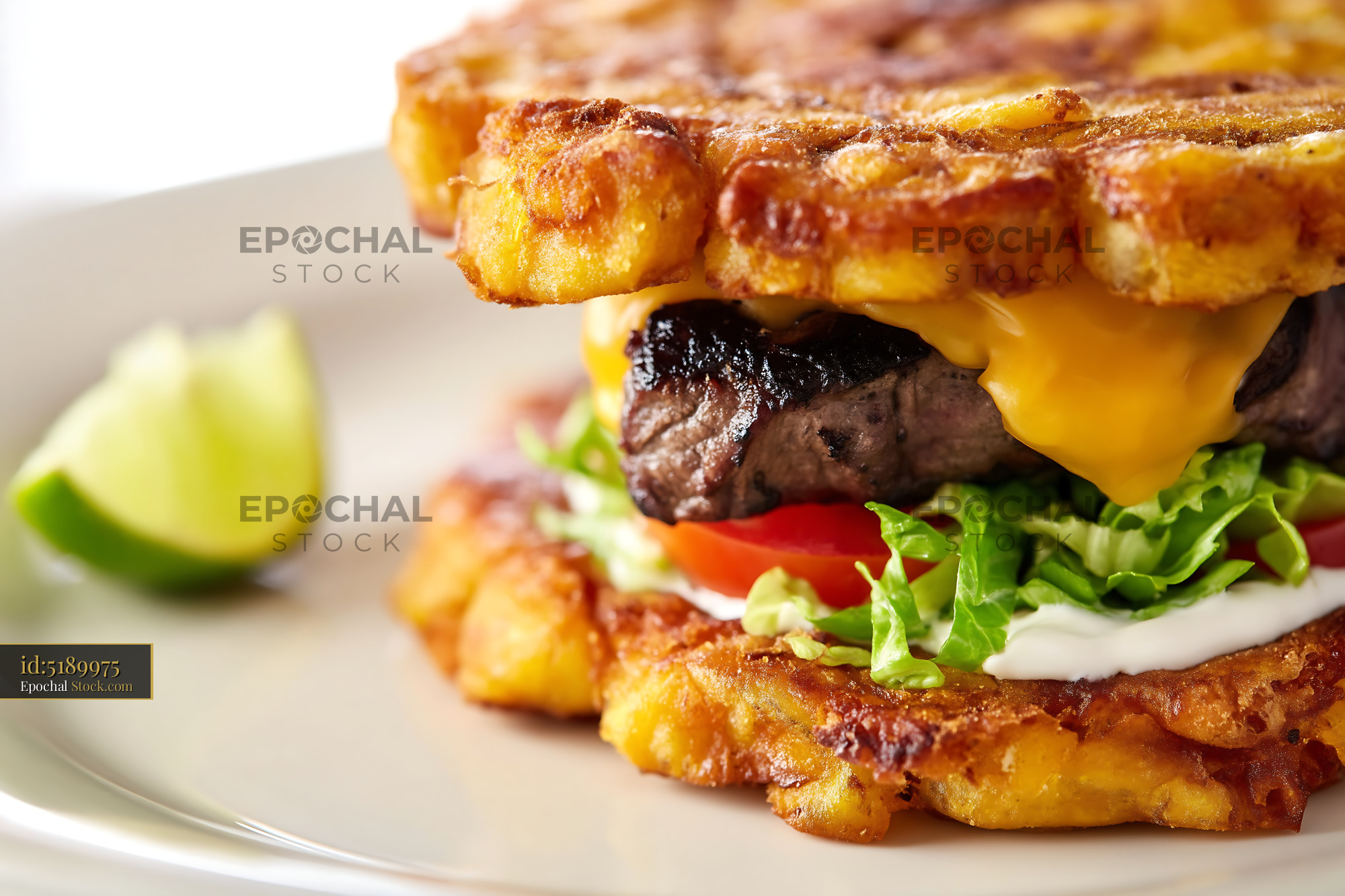 Gourmet Beef Burger on Crispy Toasted Bread - stock photo
