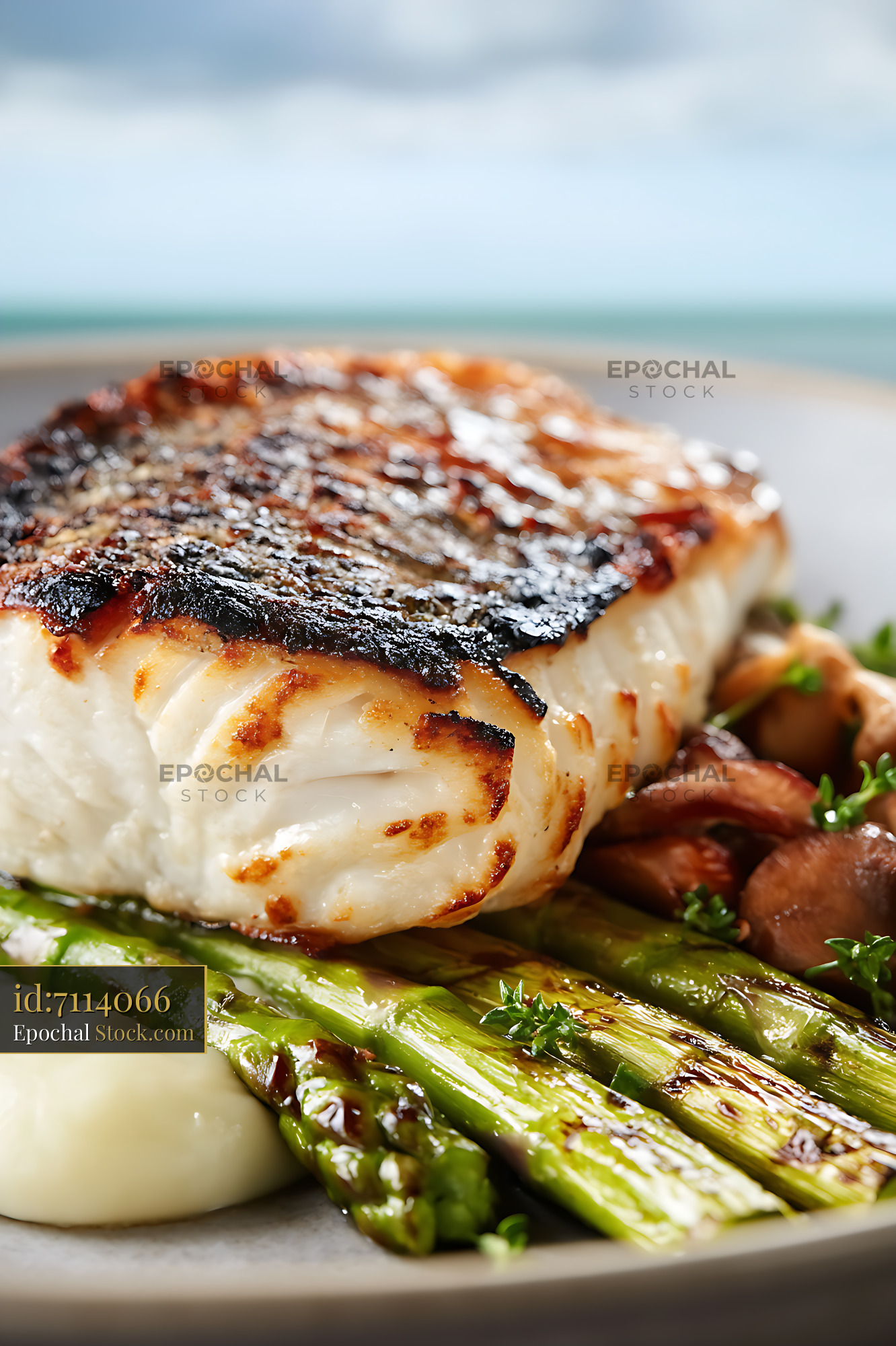 Murray Cod Fillet with Asparagus, Beach Coastal Fine Dining - stock photo